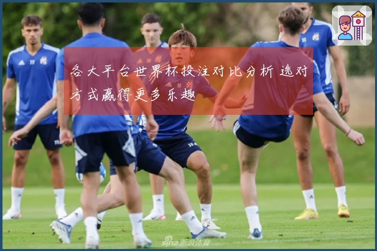 各大平台世界杯投注对比分析 选对方式赢得更多乐趣