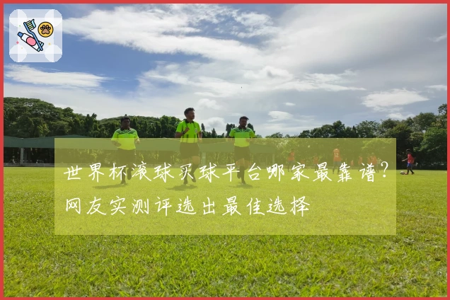 世界杯滚球买球平台哪家最靠谱？网友实测评选出最佳选择