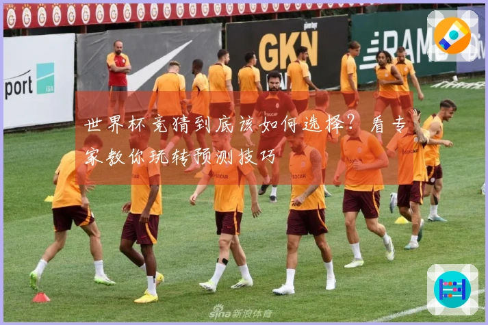 世界杯竞猜到底该如何选择？看专家教你玩转预测技巧