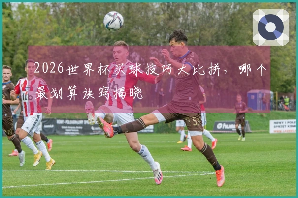 2026世界杯买球技巧大比拼，哪个最划算诀窍揭晓
