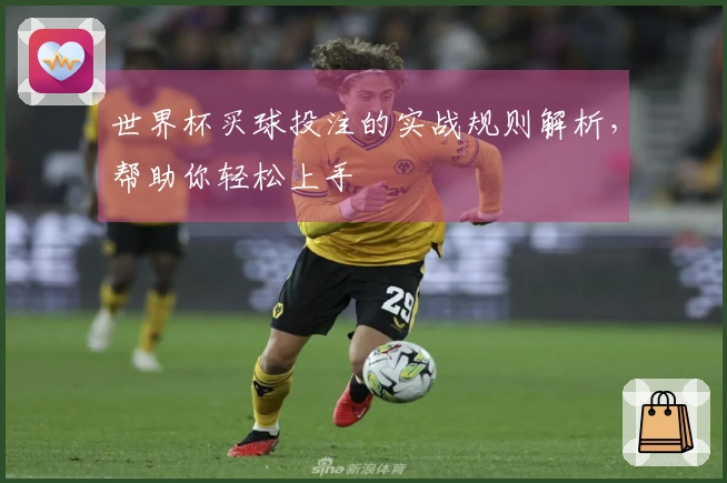 世界杯买球投注的实战规则解析，帮助你轻松上手