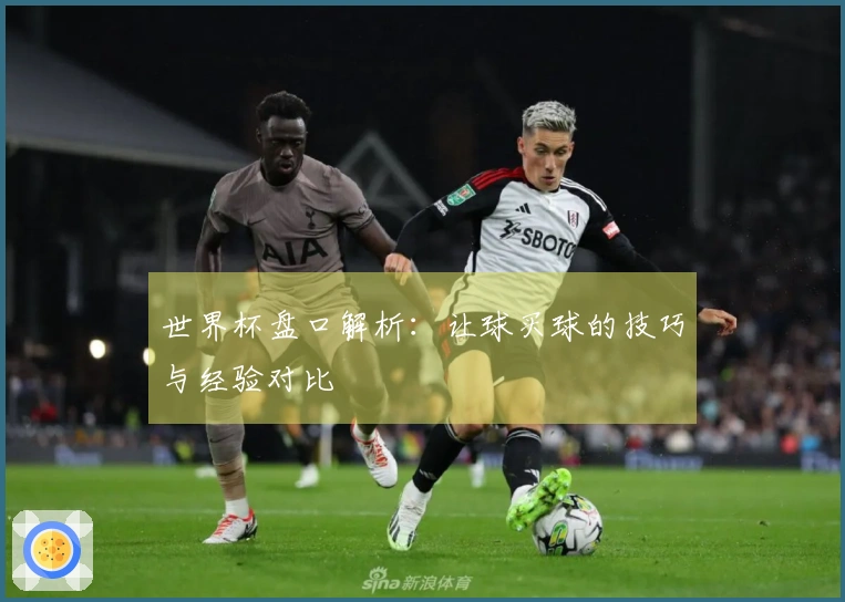 世界杯盘口解析：让球买球的技巧与经验对比