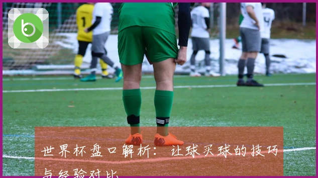 世界杯盘口解析：让球买球的技巧与经验对比
