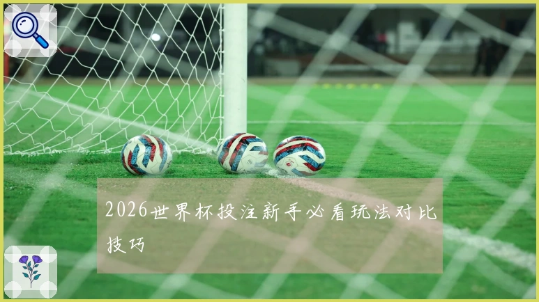2026世界杯投注新手必看玩法对比技巧