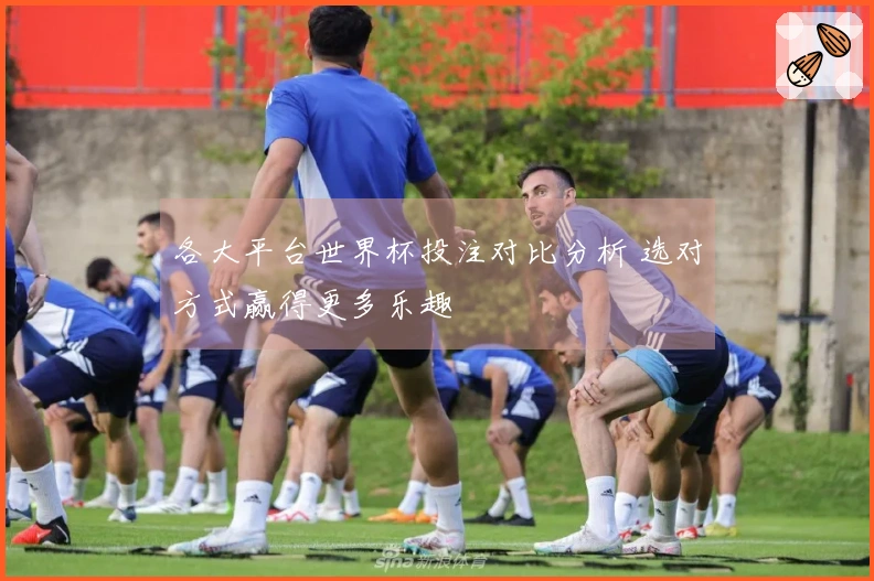 各大平台世界杯投注对比分析 选对方式赢得更多乐趣