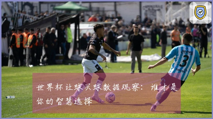 世界杯让球买球数据观察：谁才是你的智慧选择