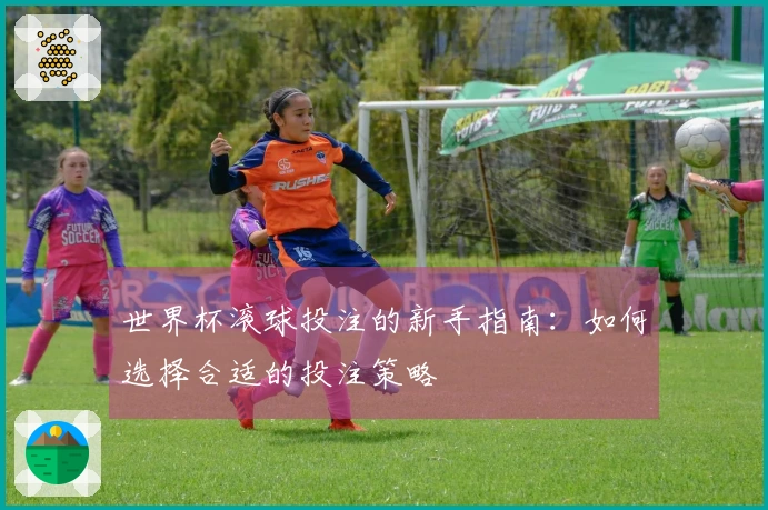 世界杯滚球投注的新手指南：如何选择合适的投注策略